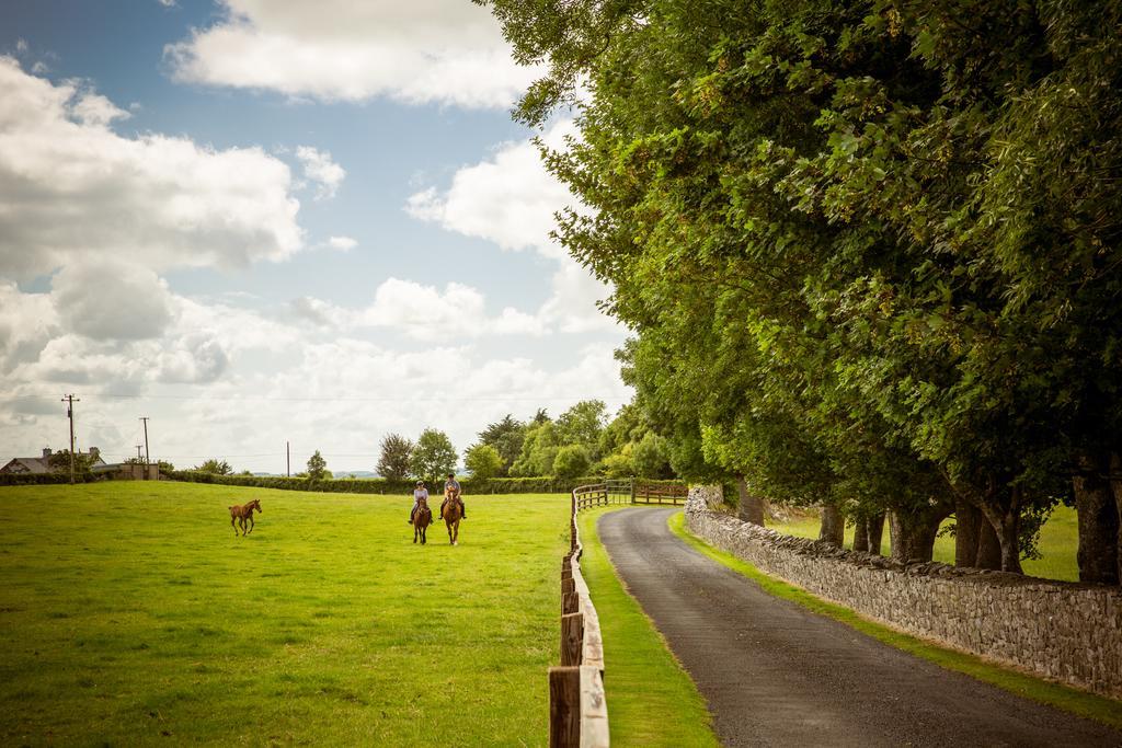 Cahergal Farmhouse B&B Newmarket-on-Fergus Exterior foto