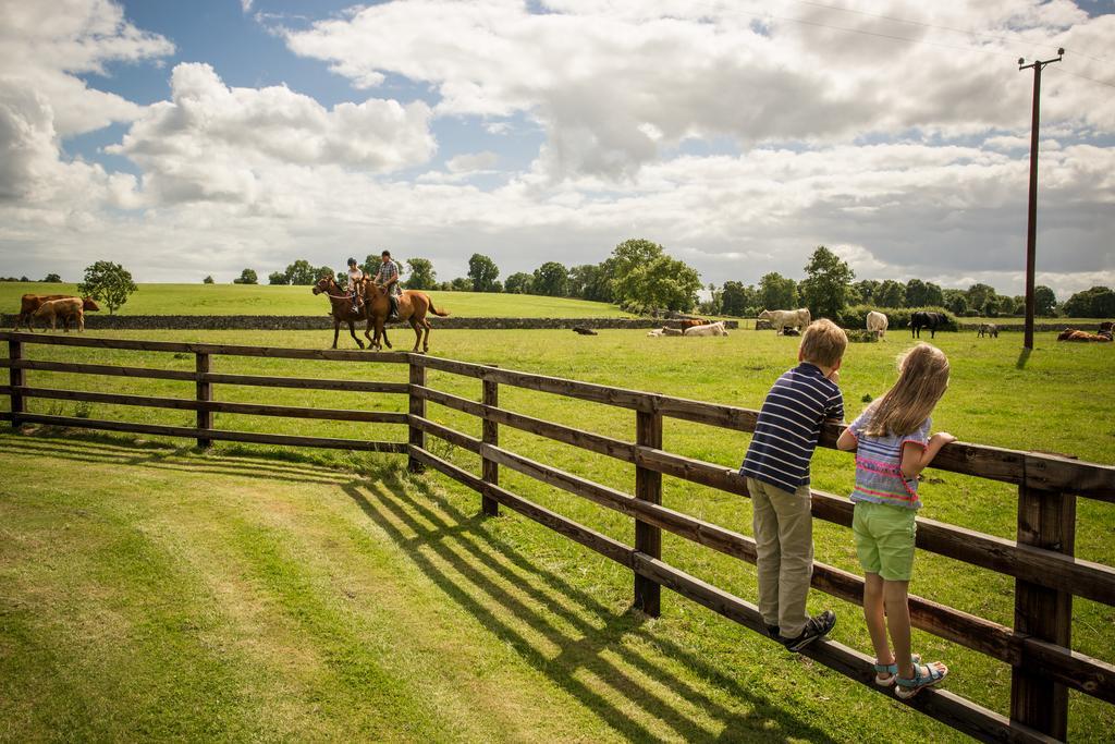 Cahergal Farmhouse B&B Newmarket-on-Fergus Exterior foto